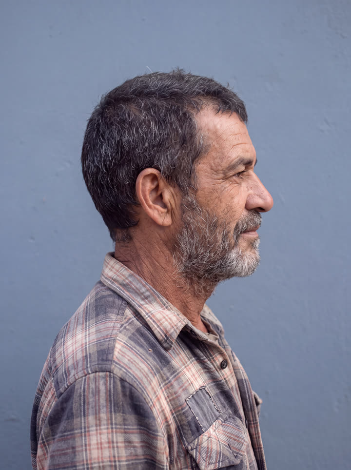 o visitante, perfil